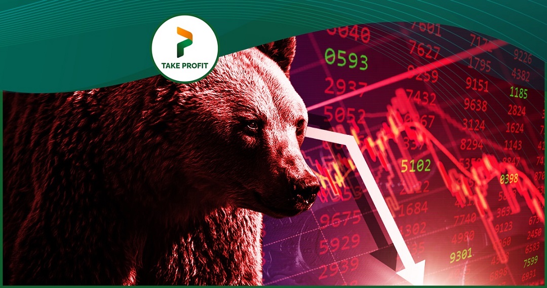 THỊ TRƯỜNG CON GẤU LÀ GÌ? NHÀ ĐẦU TƯ CẦN LÀM GÌ TRONG THỊ TRƯỜNG CON GẤU?